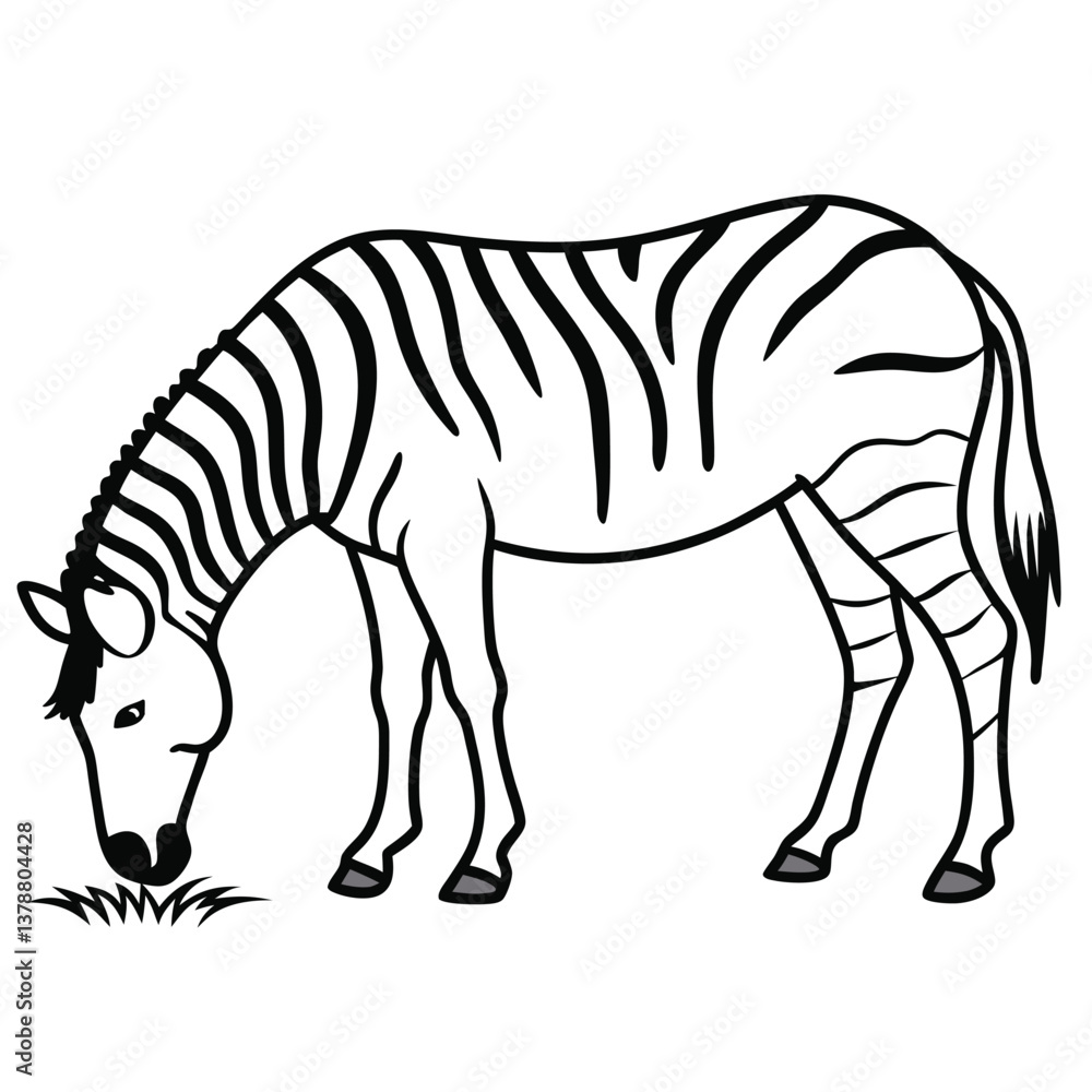 Obraz premium Line art Zebra vector illustration