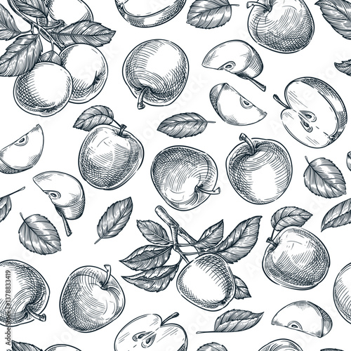 Farm fresh apple seamless pattern. Vector hand drawn sketch illustration. Label package wrapping paper background design
