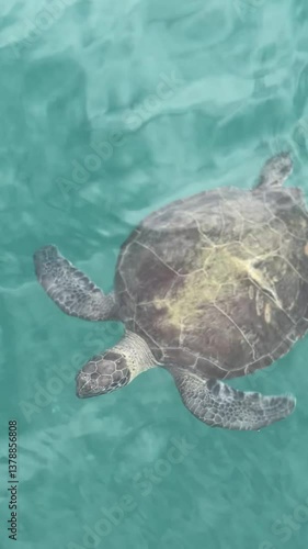 Aerial view of turquoise Mediterranean waves gently rolling onto a sandy beach. Peaceful coastal scenery capturing the harmony  sea and shore in natural sunlight.