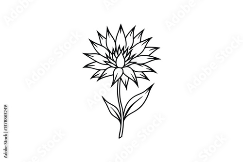 Wallpaper Mural Line art vector drawing of a cornflower.eps Torontodigital.ca