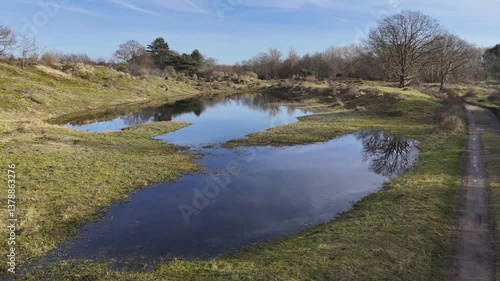 drone video of A picturesque aerial perspective showcasing a forest surrounding a tranquil river with reflections of trees, creating a serene and natural environment.