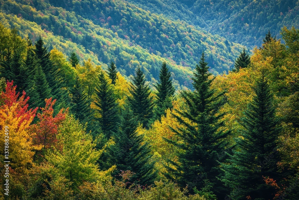 A dense forest with vibrant green foliage featuring trees stretching towards the sky in the background Dense forests clinging to towering slopes . A dense forest with vibrant green foliage featuring trees stretching towards the sky in the background Dense forests clinging to towering slopes .
