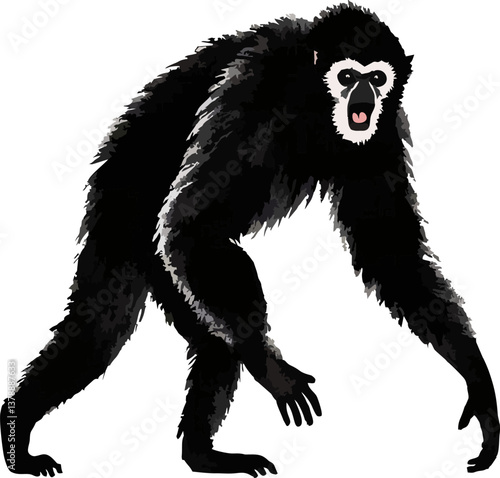 abstract illustration of white cheeked gibbon black and white monkey 