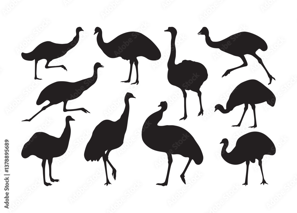 Fototapeta premium Emu vector, Emu clipart, Emu silhouette