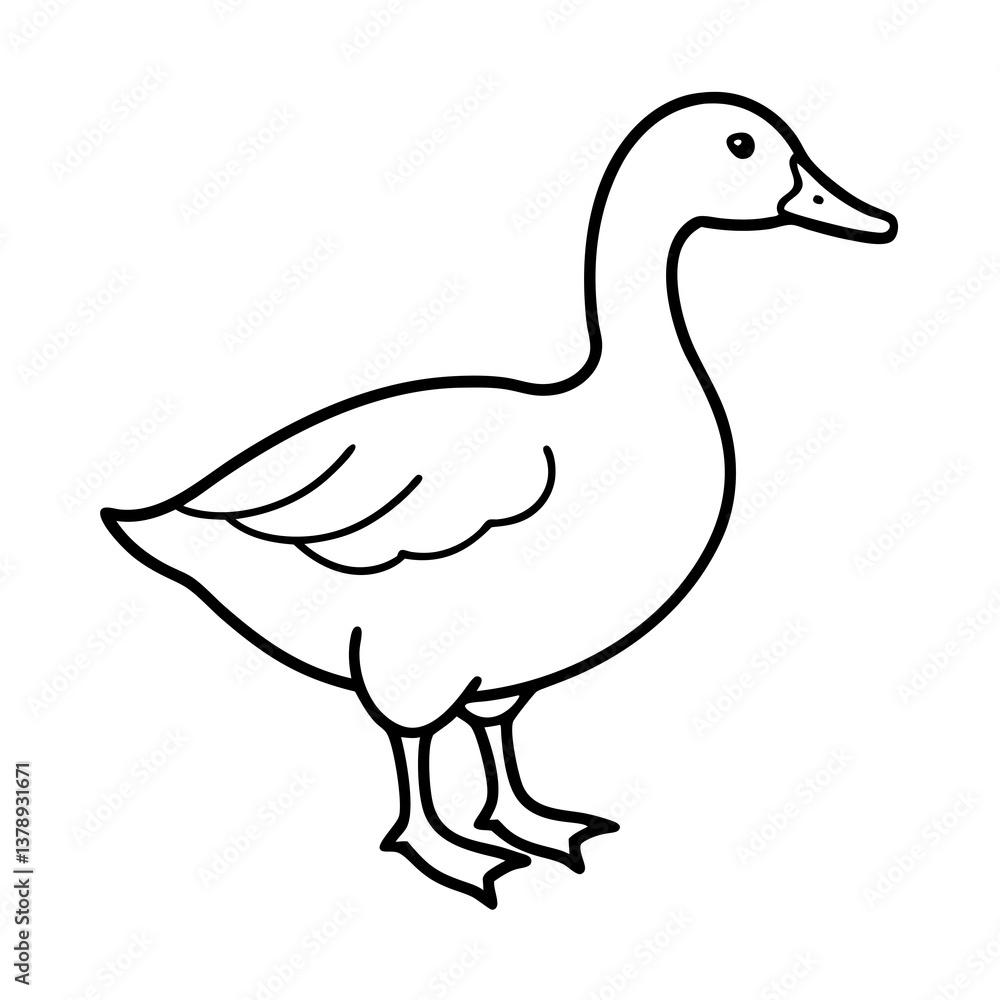 Vector illustration of a duck isolated on a white background Vector illustration of a duck isolated on a white background