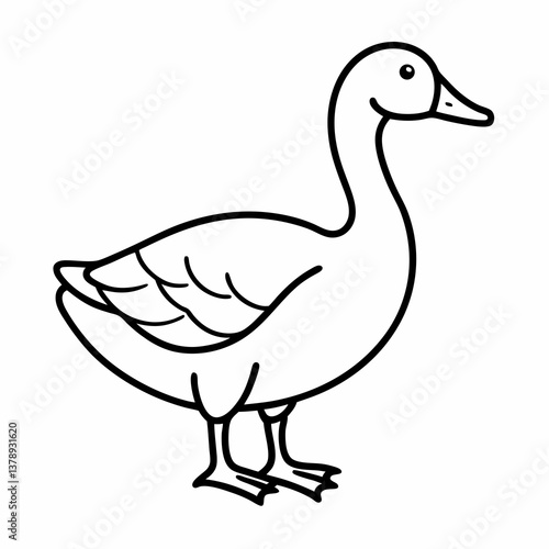 Vector illustration of a duck isolated on a white background