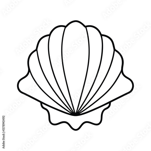 seashell vector illustration