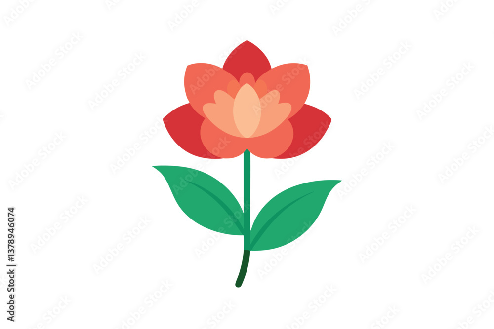 red rose isolated on white red rose isolated on white