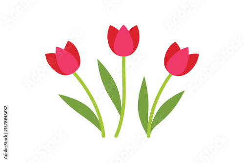 red tulips on white background