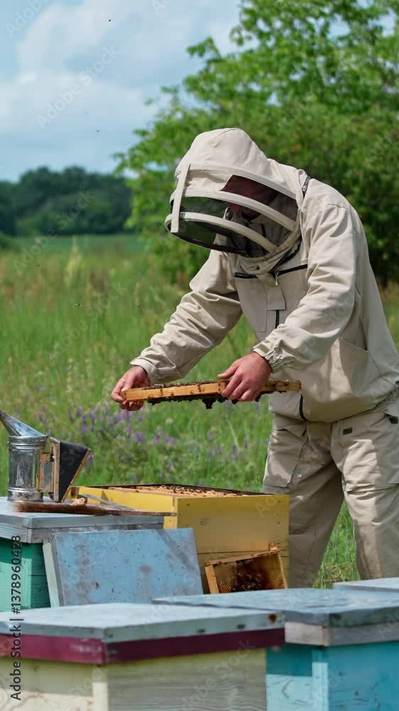 Summer apiary beehive farming. Beekeeper in protective suit. Vertical video Summer apiary beehive farming. Beekeeper in protective suit. Vertical video