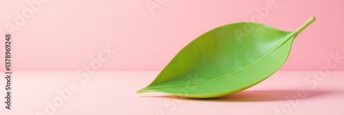 Single green leaf floats, soft shadow, pastel pink backdrop, art, tranquil