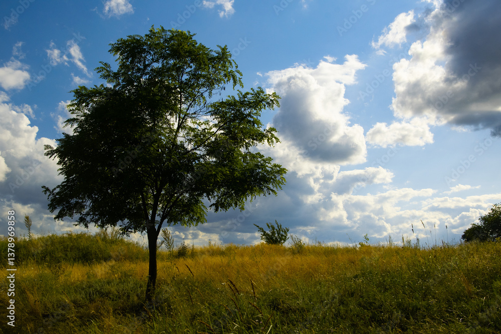 Landscapes with sky and clouds Landscapes with sky and clouds