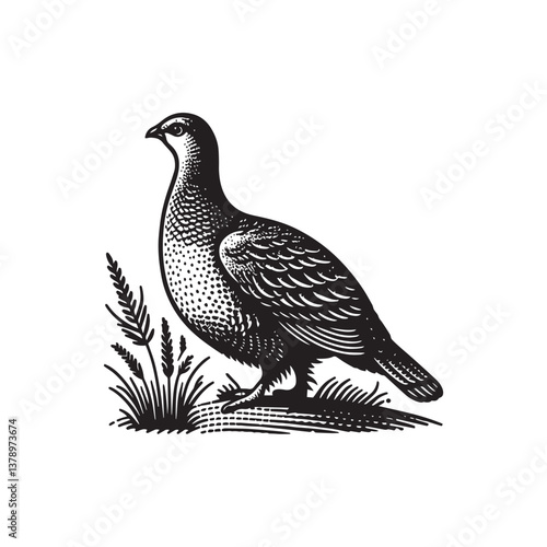 Simple Sage Grouse Side View Vector Icon – Vintage Logo & Retro Illustration