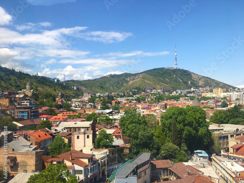 Expansive city view from hilltop with buildings and forest margin beneath clear sky Dense urban sprawl flows across valley floor with wooded edge reaching toward the horizon
