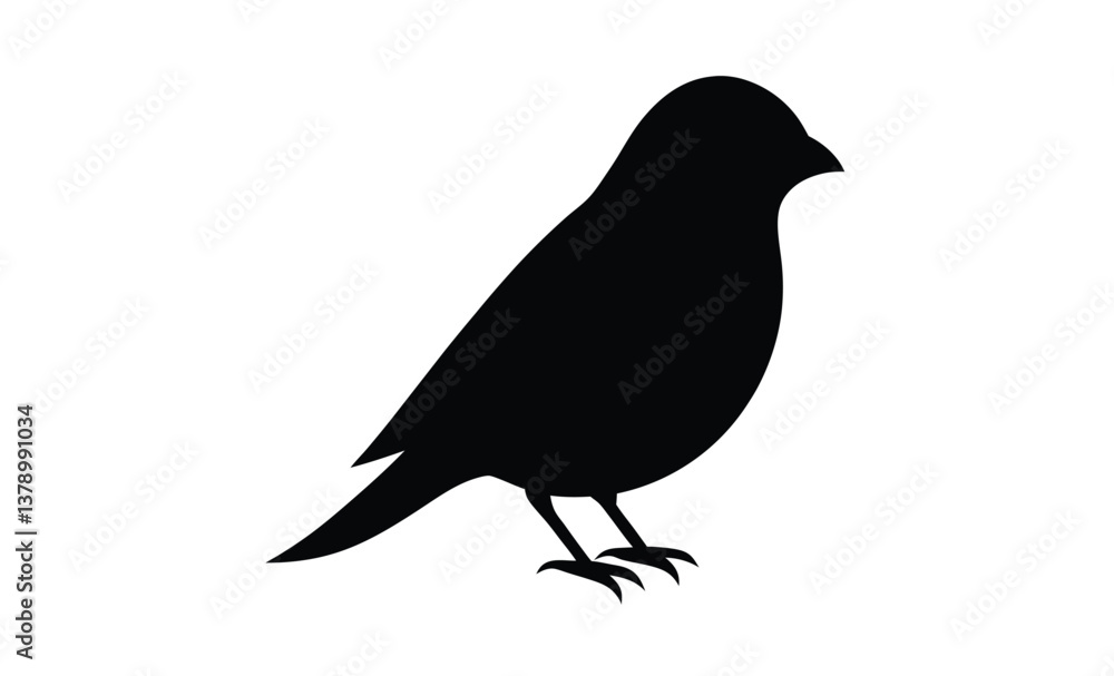 Obraz premium Elegant canary vector silhouette, elegant Canary Illustration Vector 