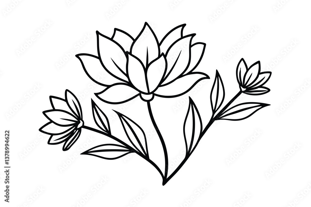vector illustration of a flower vector illustration of a flower