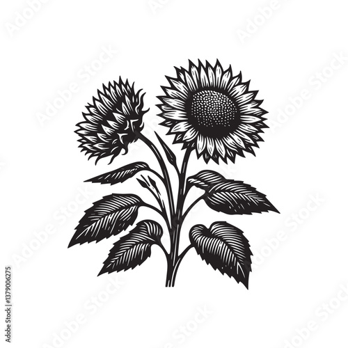 Simple Wild Sunflower Front View Vector Icon – Vintage Logo & Retro Illustration