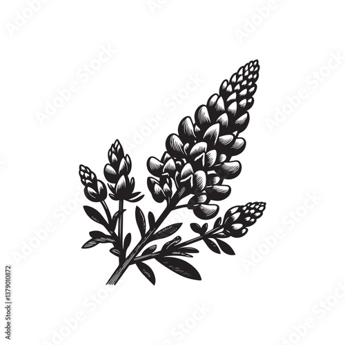 Simple Bluebonnet Flower Front View Vector Icon – Vintage Logo & Retro Illustration