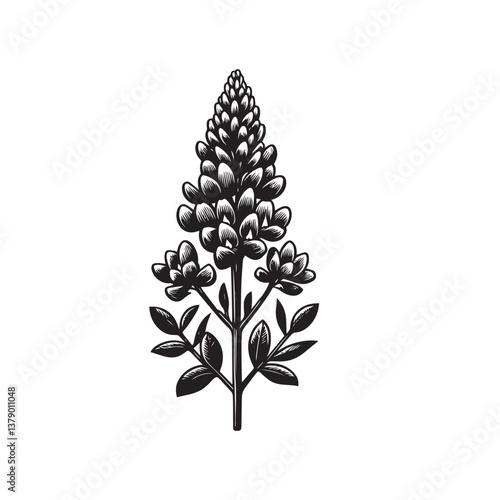 Simple Bluebonnet Flower Front View Vector Icon – Vintage Logo & Retro Illustration