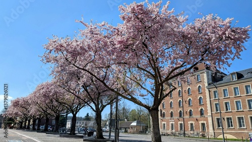 Obraz na płótnie BEAUVAIS (Oise) w salonie