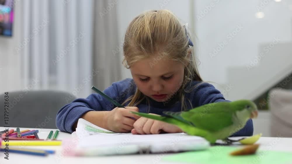 Little girl does homework at home with a parrot, pets Little girl does homework at home with a parrot, pets
