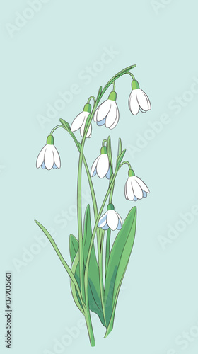 Delicate snowdrop flowers on light blue background illustration