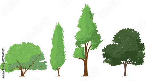 Illustrated variety of trees: nature diversity and greenery