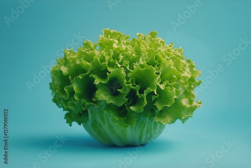 Fresh Green Lettuce on a Vibrant Blue Background Showcasing Natural Beauty an...