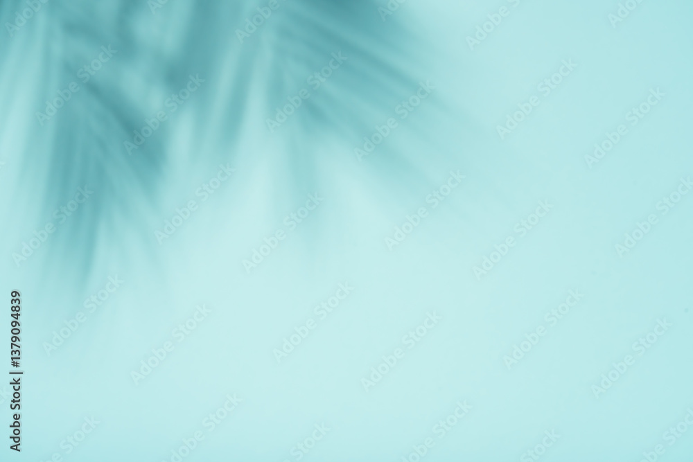 Blue background with palm shadows.