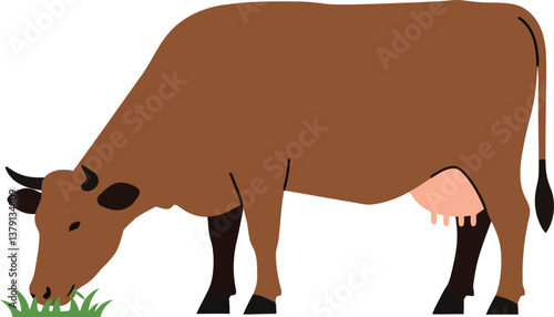 Brown cow grazing on green grass in a flat style vector illustration