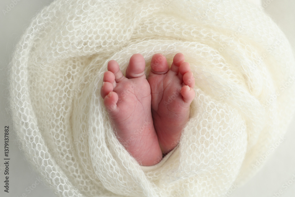 Soft feet of a newborn in a white woolen blanket. Close up of toes, heels and feet of a newborn baby Soft feet of a newborn in a white woolen blanket. Close up of toes, heels and feet of a newborn baby