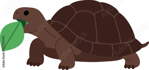 Brown tortoise happily munching on a green leaf in a minimalistic vector illustration