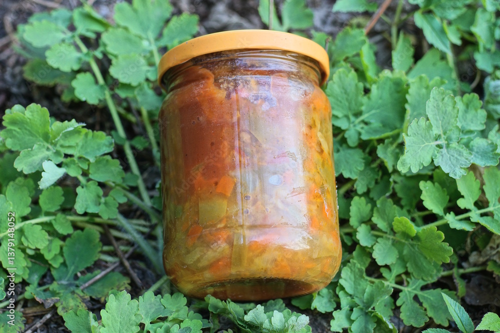 one closed glass jar with red lecho from canned pepper lies on the ground and green vegetation on a spring street one closed glass jar with red lecho from canned pepper lies on the ground and green vegetation on a spring street