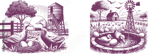 Set of Engraving Ducks on a Farm with Eggs – Rustic Farmhouse Art & Vintage Illustration Designs duck, farm, animal, bird, poultry, egg, rural, agriculture, nesting, meat, food, black-and-white, 
