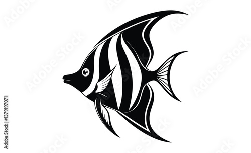 illustration of a angelfish silhouette