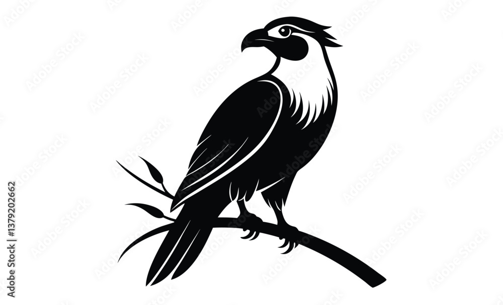 Fototapeta premium crested caracara bird silhouette