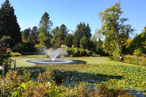 Beautiful fountain and lily pond at the VanDusen Botanical Garden, Vancouver, Canada. 