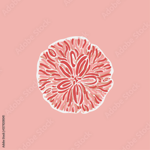 Stylized shell illustration on pink background, marine-inspired composition