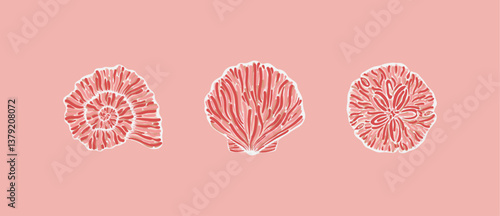 Illustrations of various shell designs depicted with intricate white line art on a pink canvas, blending artistry and natural themes together in a marine-inspired composition