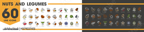 Nuts and legumes line icons. Almond, cashew, hazelnut, peanut and pecan, pistachio, kidney or beans. Soybeans, chia seeds, pine nuts, pumpkin or walnut. Brazil nut and chestnut, macadamia and coconut