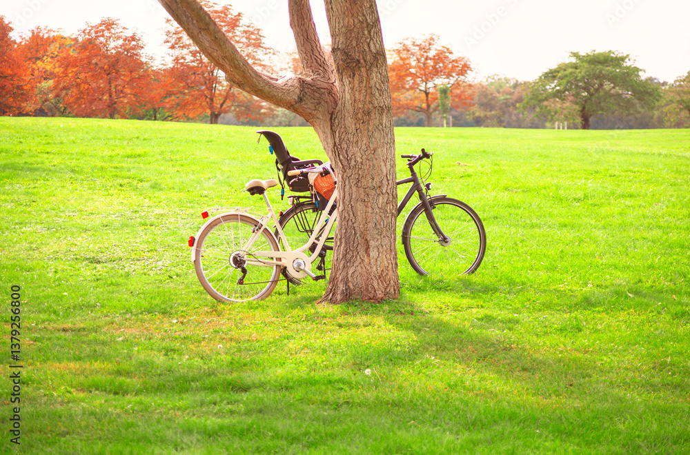 Two bicycles resting against a tree in a lush park setting, surrounded by vibrant autumn foliage. Tranquil scene of parked bicycles in a lush green field, shaded by a large tree