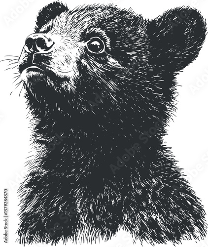Detailed black and white illustration of a bear cub with expressive eyes and textured fur.