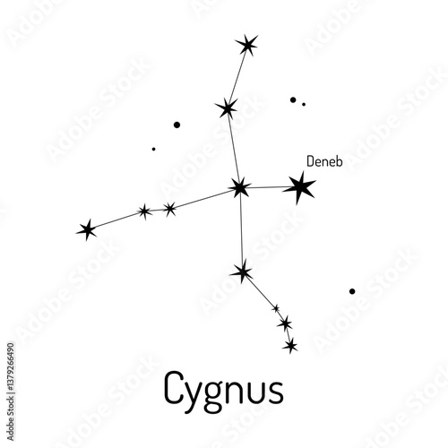 Minimalist vector illustration of the Cygnus constellation with labeled Deneb star. Perfect for astronomy enthusiasts, educational materials, and celestial-themed designs.