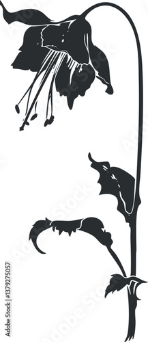 Silhouette of a bellflower with detailed petals and stem in black and white illustration.