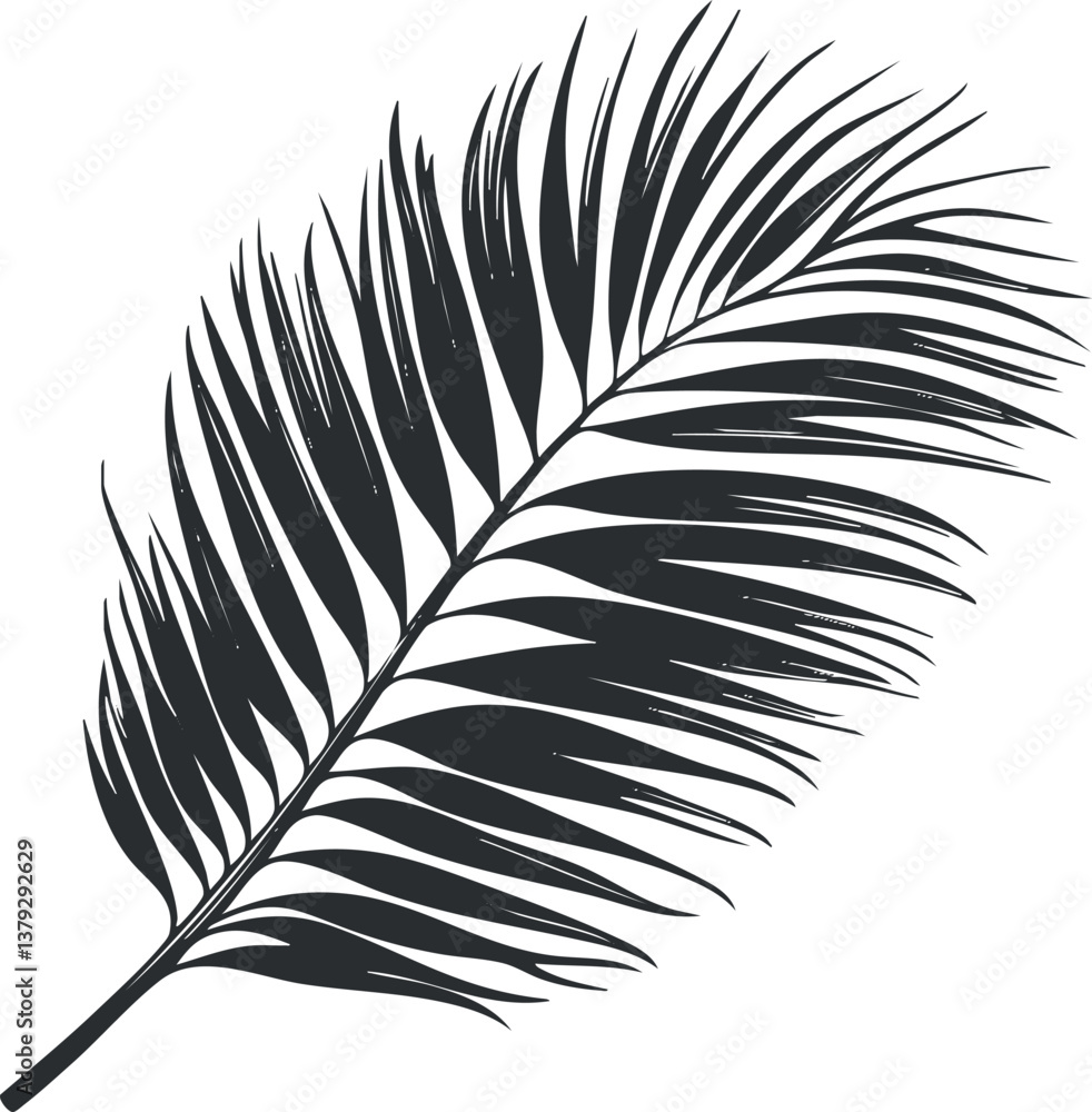 Obraz premium Black and white silhouette of a palm leaf, showcasing tropical botanical design.