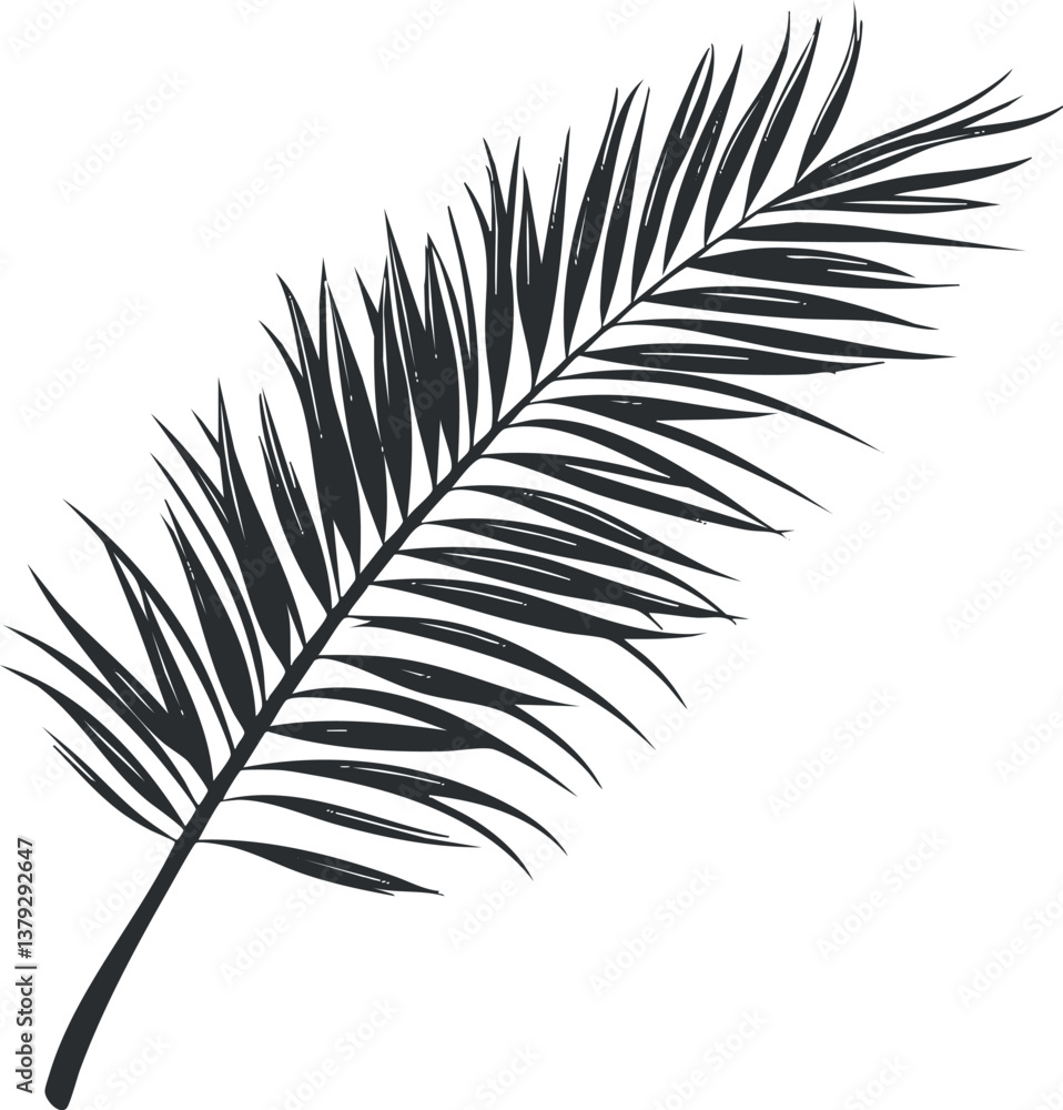 Obraz premium Silhouette of a palm leaf in black and white, perfect for tropical design elements.