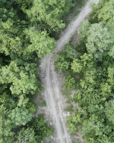 
Aerial view of a forest road, drone photograph, top-down perspective