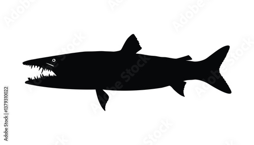 Barracuda  fish silhouette ,vactor design, see fish with white background.