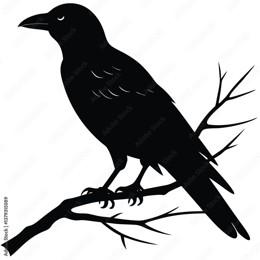 Fototapeta premium crow black silhouette vector art illustration