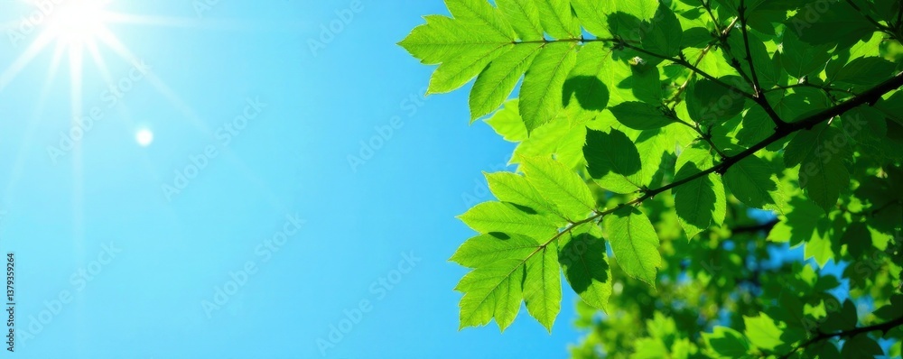 Green leaves on tree trunks against a clear blue sky, sky, forest, green Green leaves on tree trunks against a clear blue sky, sky, forest, green